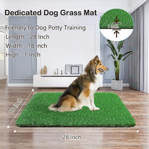 Dog Pee Grass Pee Pad Amazon Best Washable Dog Pee Pads For Eco