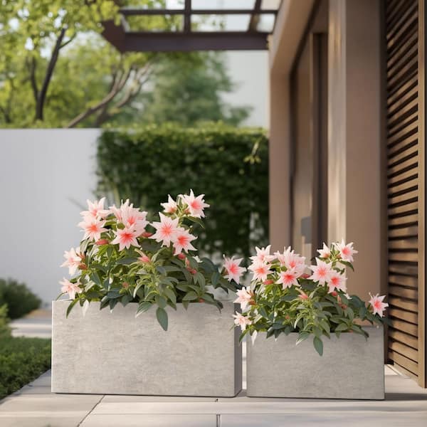 Sapcrete Modern 12 in., 16.5 in. High Large Tall Elongated Square Light Gray Outdoor Cement Planter Plant Pots Set of 2