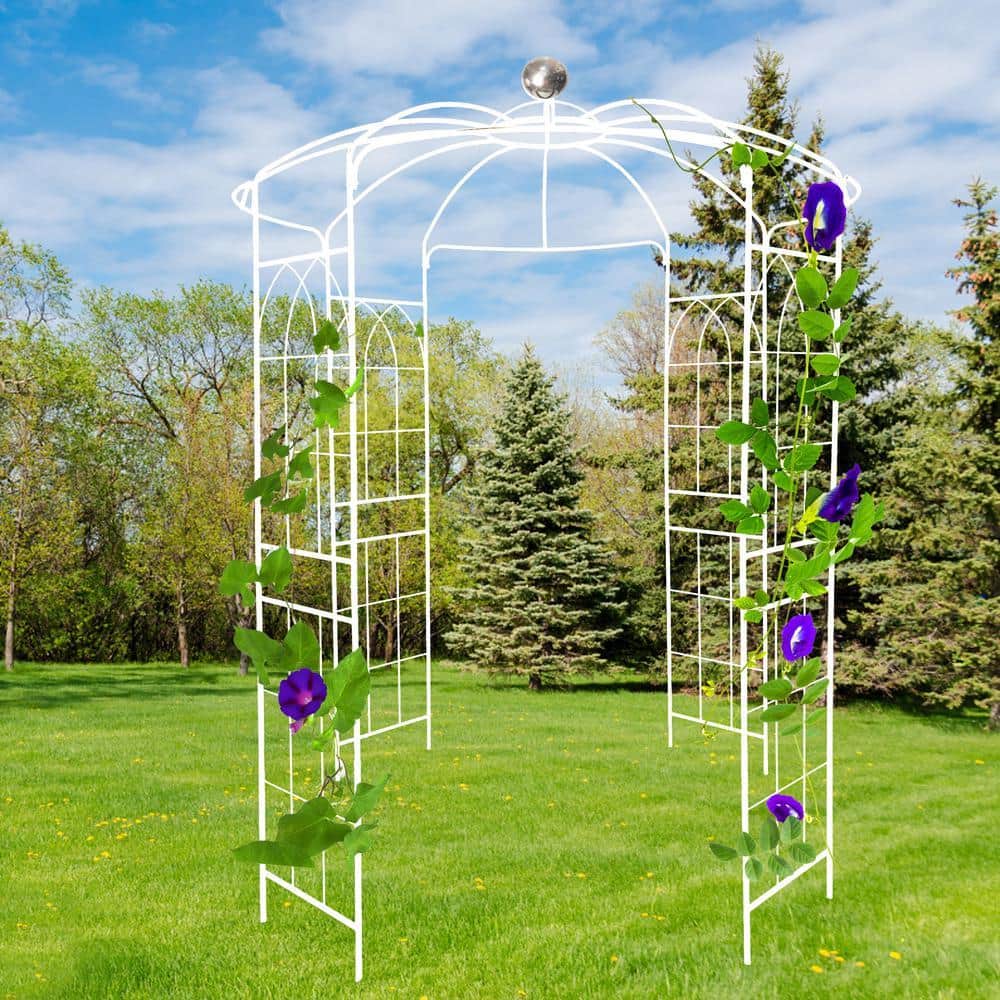 Zeus & Ruta Birdcage Shape Gazebo 114 in. x 81.3 in. Heavy-Duty