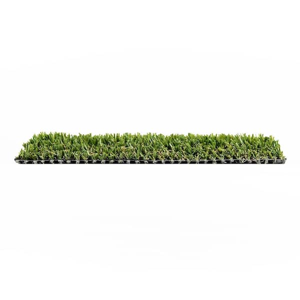 TURF DISTRIBUTORS Eco 72 (1 ft. x 1 ft. Sample Square)