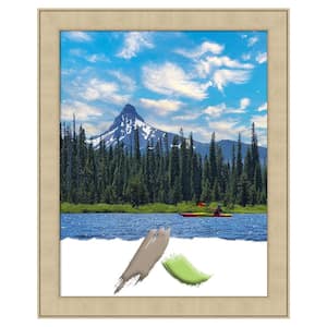 Classic Honey Silver Picture Frame Opening Size 22x28 in.