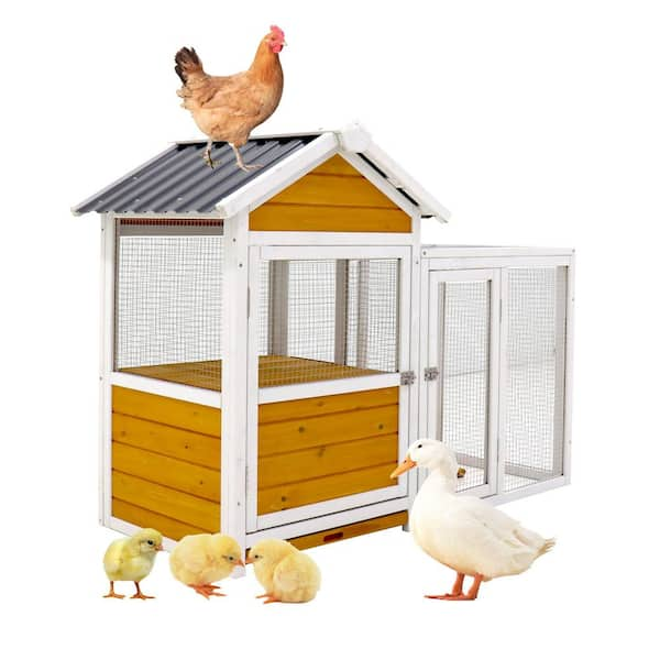 straw bale” house for ducks and chickens (CREATIVE chicken coop) 