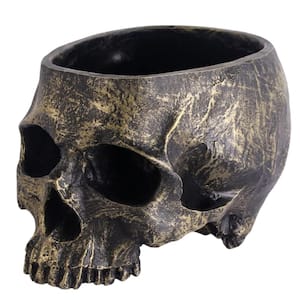 Artificial Resin Halloween Skull Head Candy Bowl Holder for Desktop Ornaments, Bronze