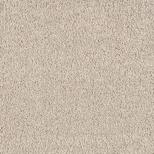 Huntcliff II Foxfire Brown 39 oz. Triexta Texture Installed Carpet