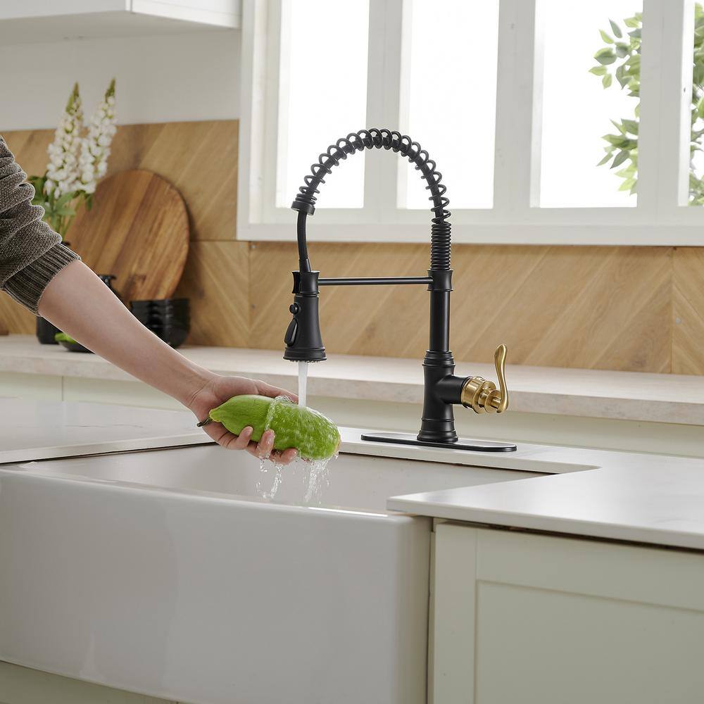 Matte Black and Gold High-Arc Kitchen Faucet with Pull-Out Spray