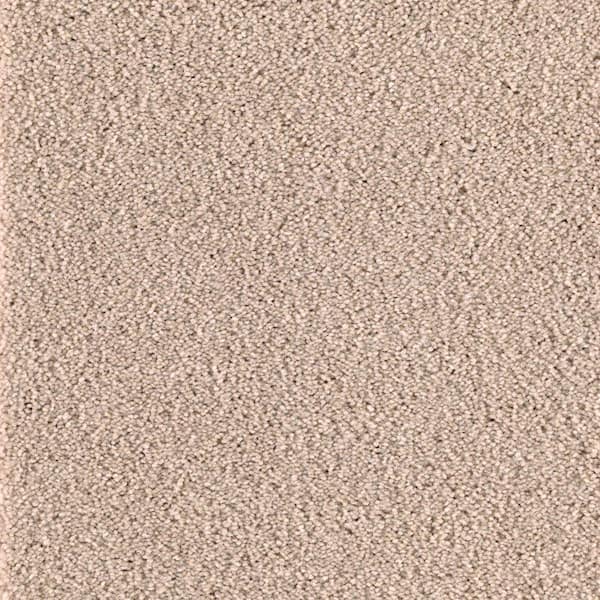 TrafficMaster Carpet Sample - San Rafael II (S) - Color Beige Twill Texture 8 in. x 8 in.