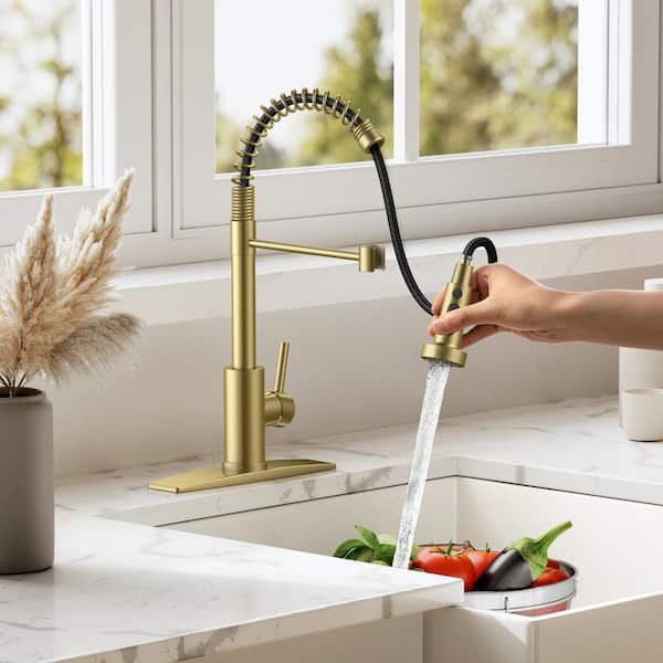 androme Single Handle Pull Down Sprayer Kitchen Faucet with