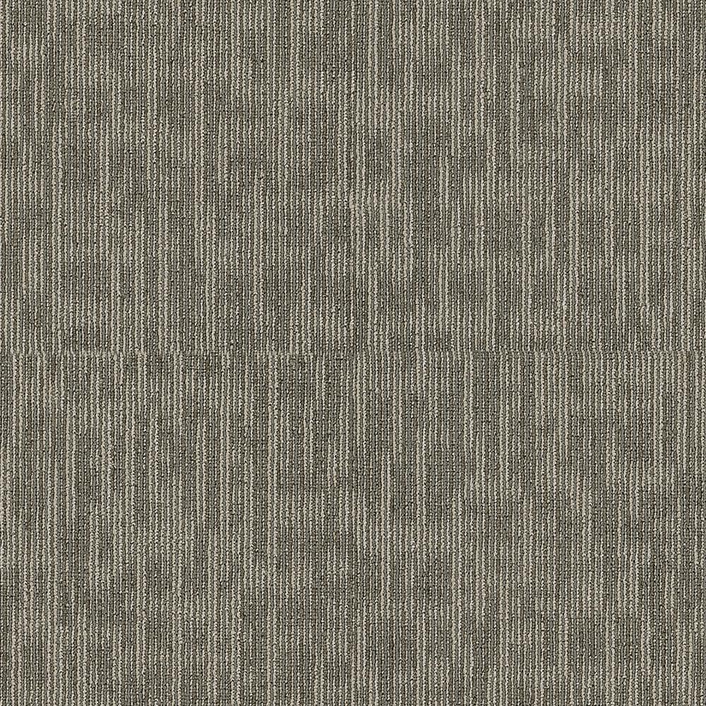 Shaw Generous Gray Residential 24 In X Glue Down Carpet Tile 20 Tiles Case 80 Sq Ft Hde6262505 The