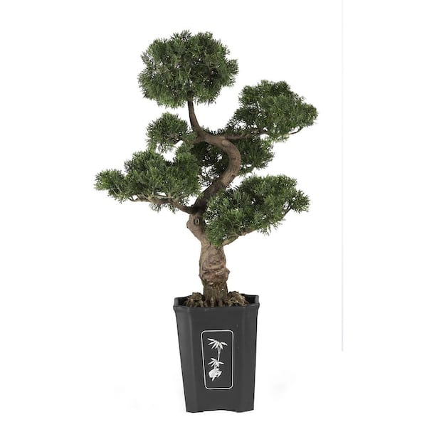 Bonsai - Home Decor - The Home Depot