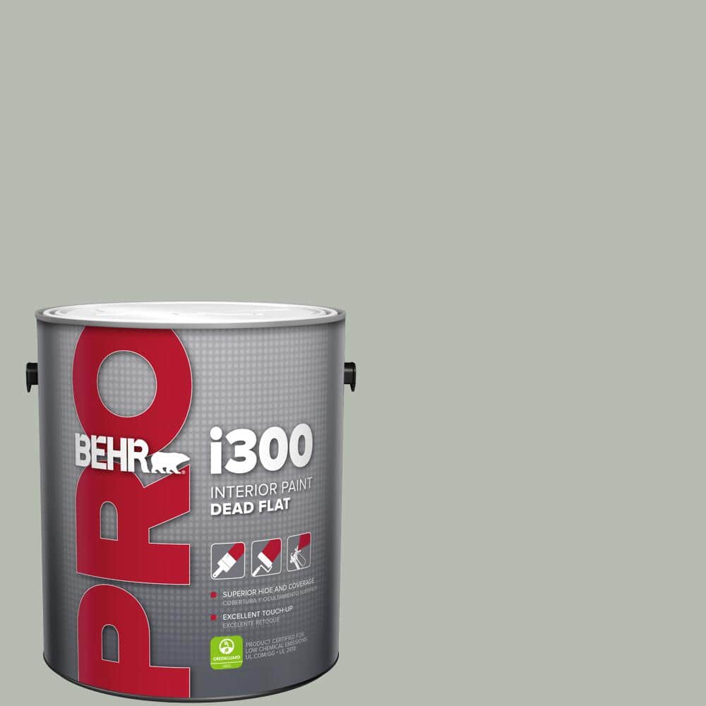 1 gal. #HDC-AC-21 Keystone Gray Dead Flat Interior Paint price history on PriceWatchPro