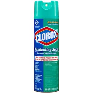 19 oz. Disinfecting Aerosol Spray (12-Cans/Pack)
