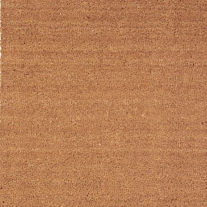 Brown 48 in. x 24 in. Coir Non-Slip Indoor/Outdoor Door Mat