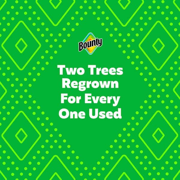 White, Select-A-Size Paper Towel Roll (12 Double Plus Rolls)