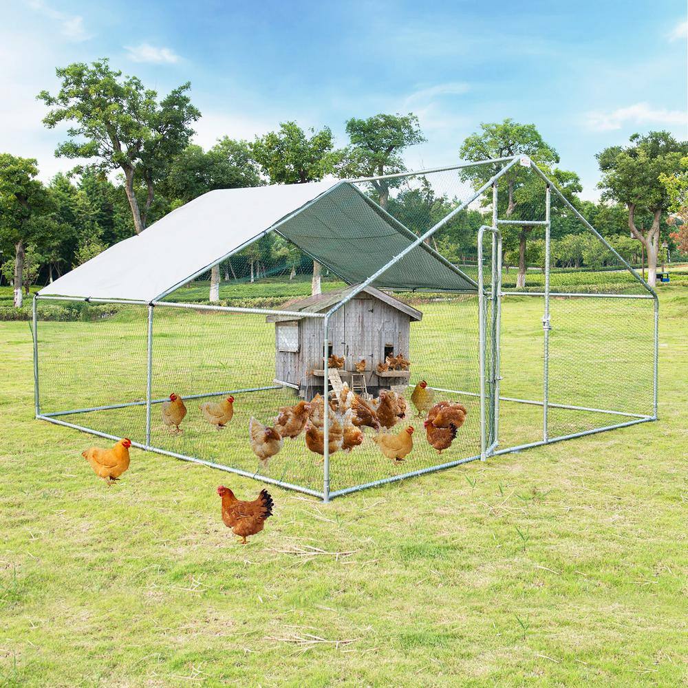 13' x 13' White Galvanized Steel Outdoor Chicken Playpen