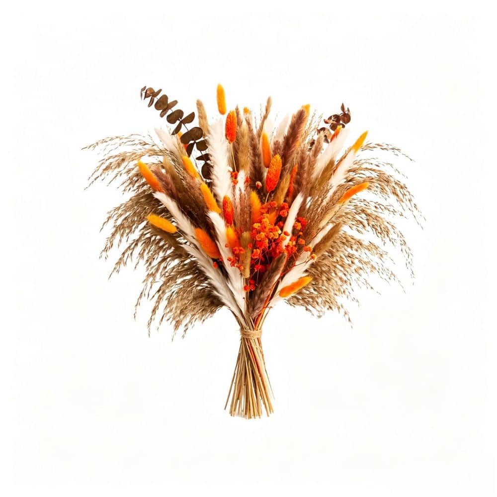 17 in Brown A bouquet of 80 dried reeds, rabbit tail reeds, and eucalyptus leaves; farmhouse home table decoration. price history on PriceWatchPro