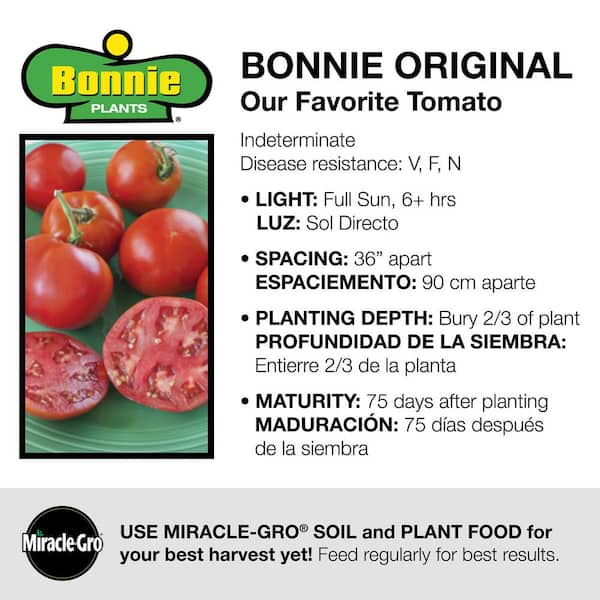 Bonny Best Tomato Seeds