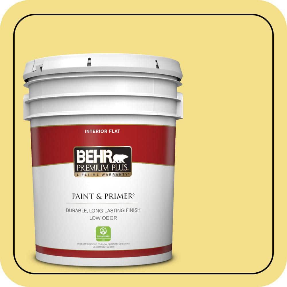 5 gal. Home Decorators Collection #HDC-SP16-03 Lemon Curd Flat Low Odor Interior Paint & Primer price history on PriceWatchPro
