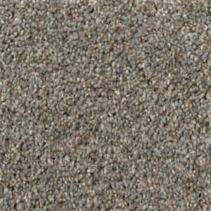 Soared - Sky High - Gray 12 ft. 30 oz. SD Polyester Texture Full Roll Carpet (1080 sq. ft./Roll)