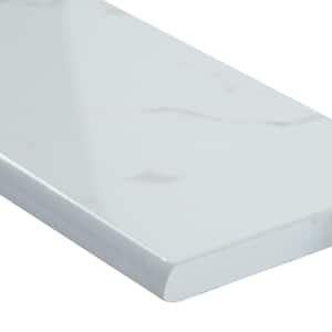 Eramosa Silver Bullnose 3 in. x 18 in. Matte Glazed Porcelain Wall Tile ( 10-Pieces/Case )