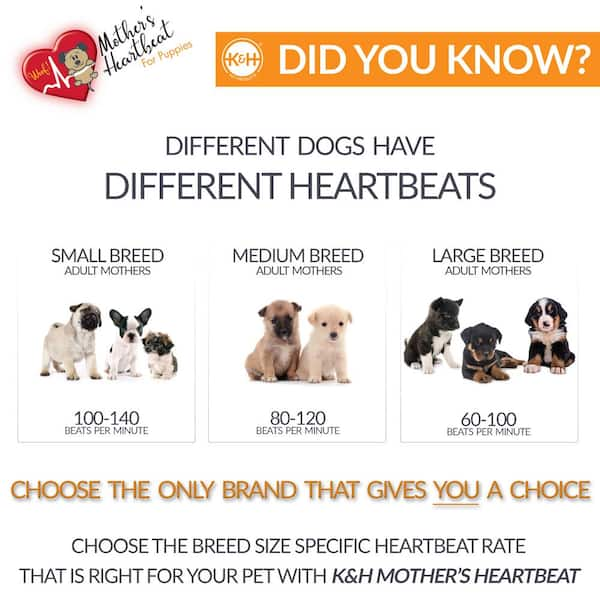 Heartbeat pillow 2024 for dogs