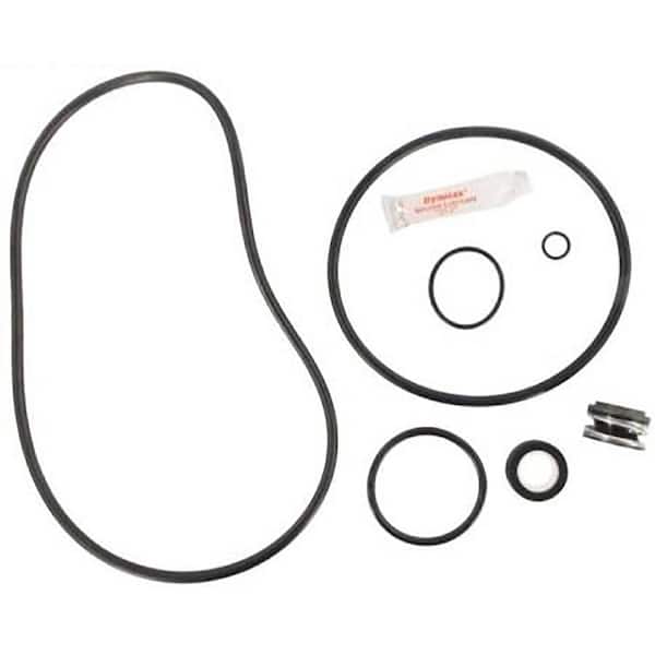 Sta-Rite Max-E-Pro Go-Kit