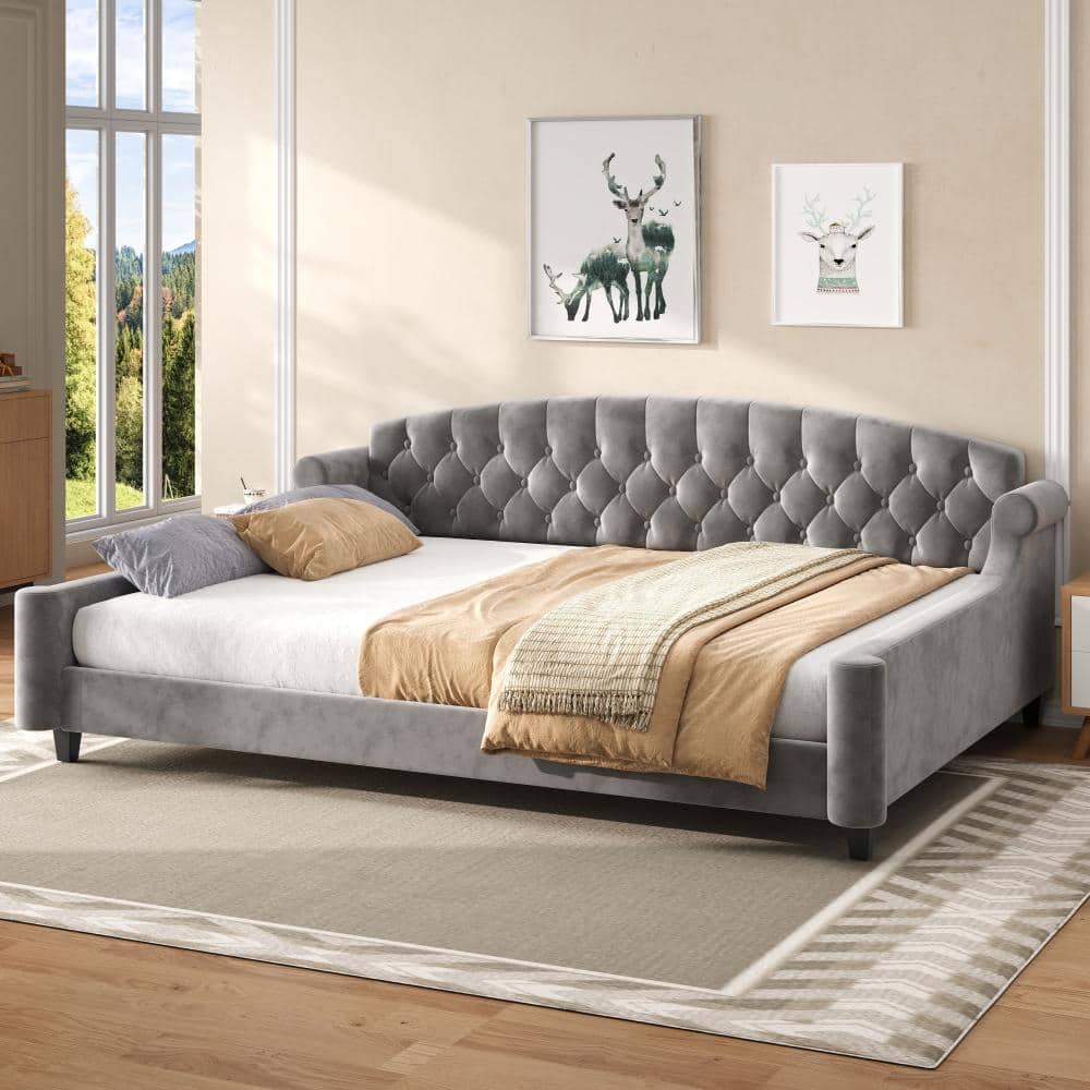GrayQueen Daybed with Curved Tufted Velvet Upholstered Backrest price history on PriceWatchPro