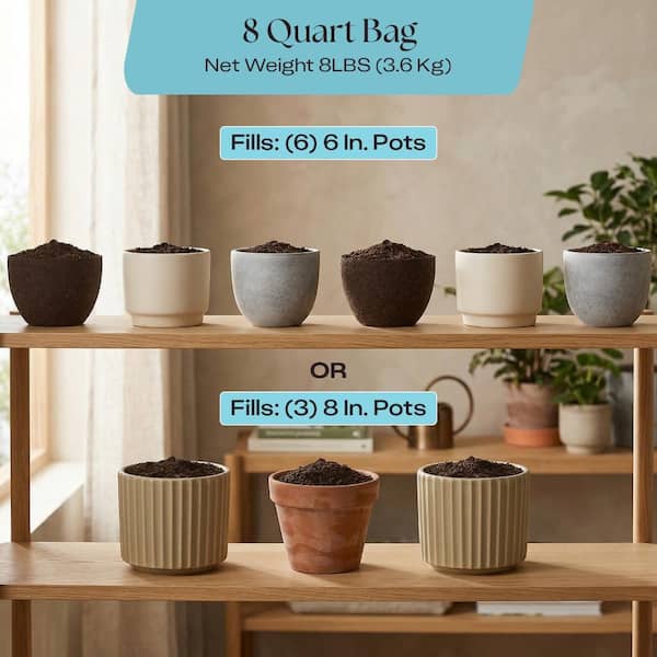 ROSY SOIL 8 qt. Houseplant Potting Mix, 4 qt. Cactus and Succulent Mix and  2 qt. Plant Food Combo - The Home Depot