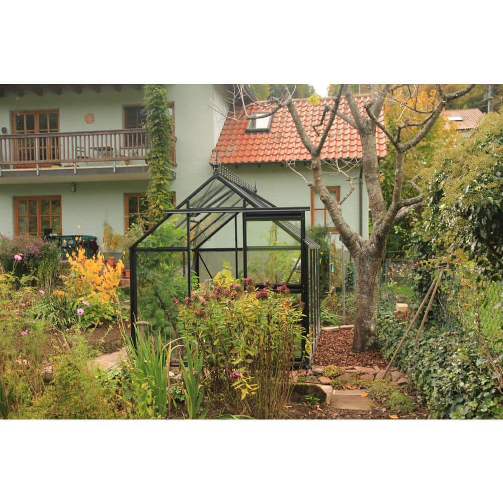 Junior Victorian Black Aluminum and Glass Walk-In Greenhouse