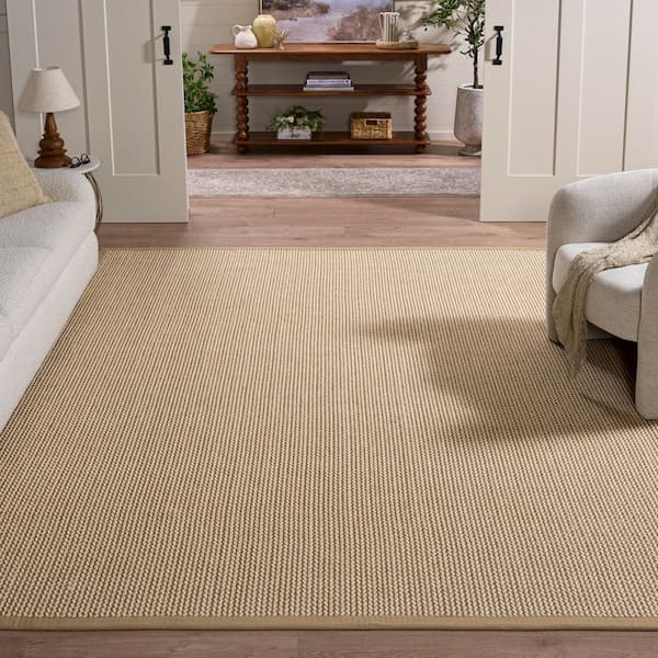 Natural Fiber 10 ft. x 14 ft. Beige Braided Border Area Rug