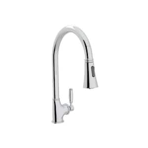 Michael Berman Single-Handle Pull-Down Sprayer Kitchen Faucet in Polished Chrome