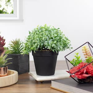 7 .5" Potted Green Artificial Boxwood Plant