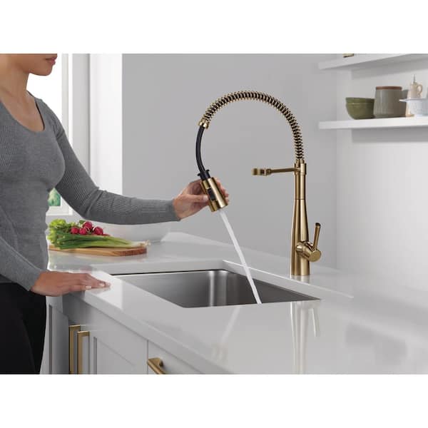 Essa Gold Single Handle Pull Down Sprayer Kitchen Faucet with Spring Spout in Champagne Bronze