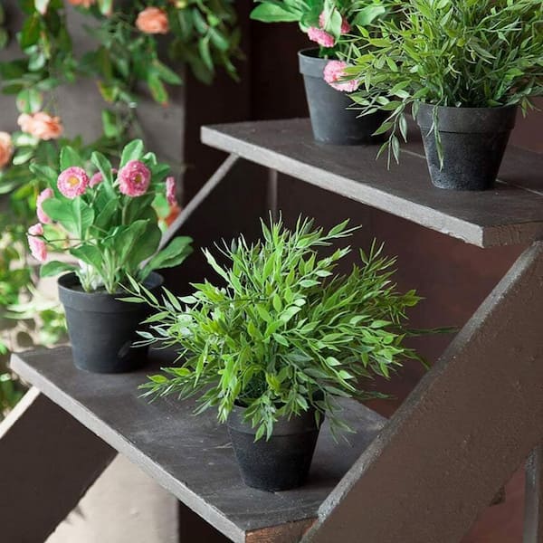 Black Terracotta Indoor/Outdoor Planter with Saucer (3 in. W x 3