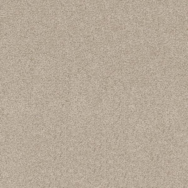 Reviews For Home Decorators Collection 8 In X Texture Carpet Sample Perfected Ii Color Fine Tuned Pg 1 The Depot - Home Depot Decorators Collection Carpet Reviews Reviews For Home Decorators Collection 8 In X Texture Carpet Sample Perfected Ii Color Fine Tuned Pg 1 The Depot - Home Depot Decorators Collection Carpet Reviews