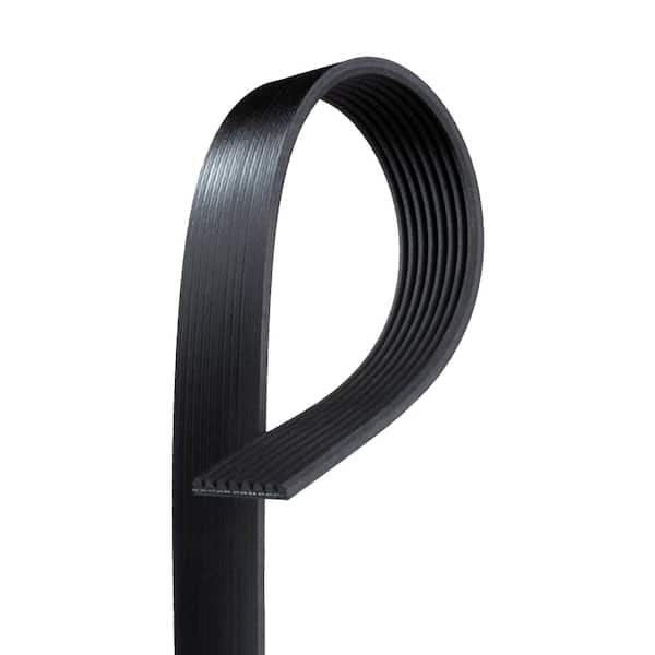 ACDelco V-Ribbed Serpentine Belts 89028860 - Summit Racing - View #5