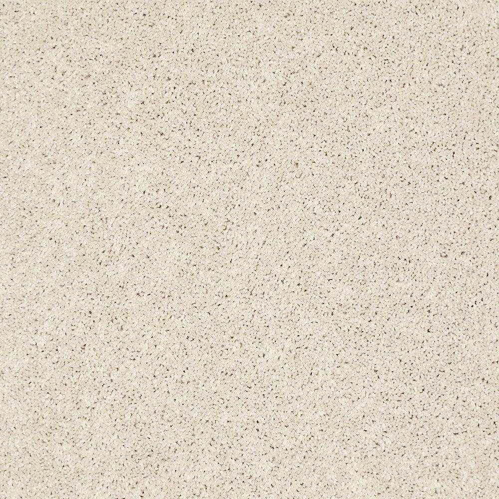 8 in. x 8 in. Texture Carpet Sample - Palmdale II - Color Bamboo Bluff price history on PriceWatchPro
