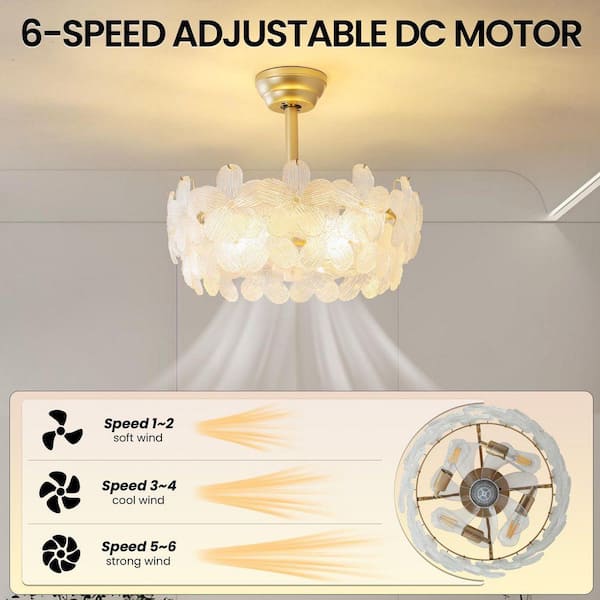 KAISITE 19 in. Indoor Modern Enclosed Crystal Flower Gold Ceiling