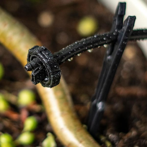 DIG 1 GPH Button Dripper (100-Pack) W22100 - The Home Depot