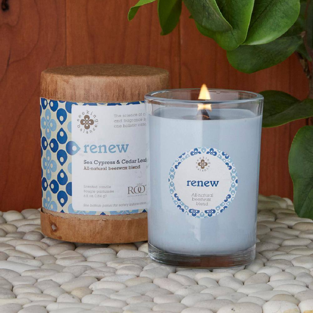 Renew Seaside Cypress & Cedarleaf Beeswax Scented Jar Candle, 6.5 oz