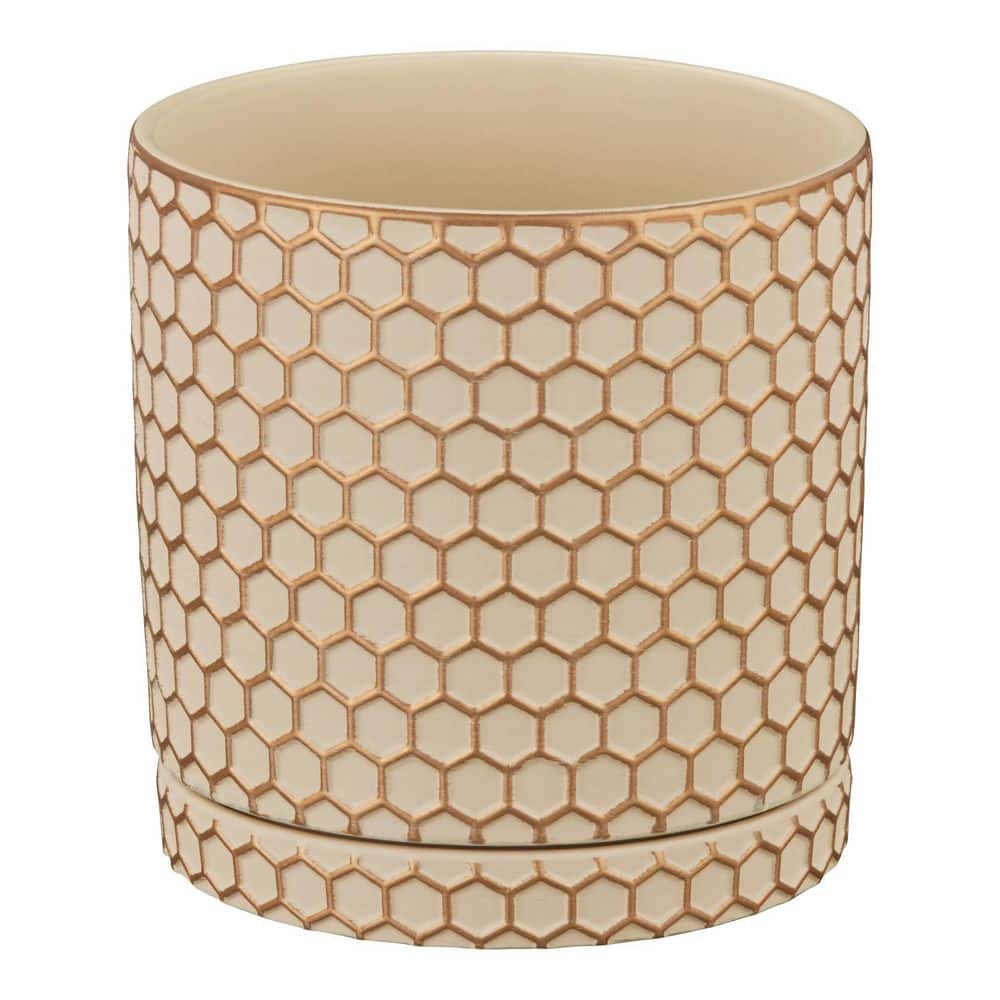 Cohen Small Beige/Gold Indoor Ceramic Round Planter with Attached Saucer (5.98 in. L x 5.98 in. W x 6.1 in. H) price history on PriceWatchPro