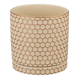 Cohen Small Beige/Gold Indoor Ceramic Round Planter with Attached Saucer (5.98 in. L x 5.98 in. W x 6.1 in. H)