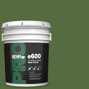 5 gal. #410D-7 Mountain Forest Semi-Gloss Exterior Paint