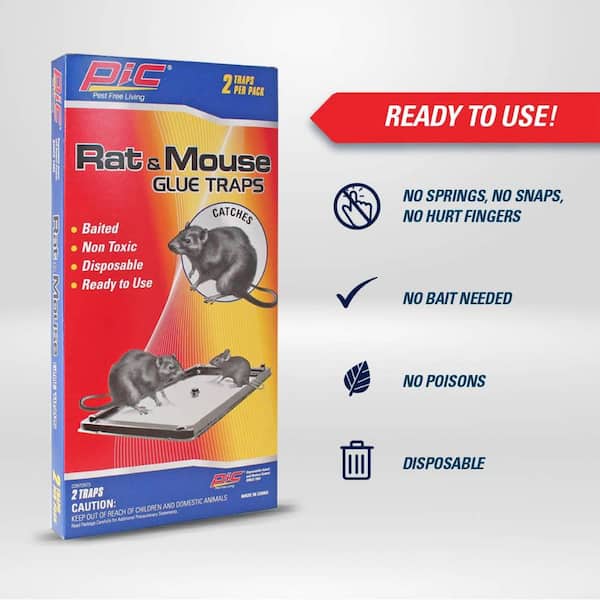 PIC Baited Mouse Glue Traps (48-Pack) GT-4-H - The Home Depot