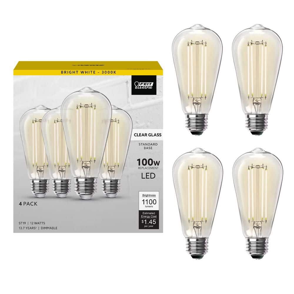 Feit Electric 100-Watt Equivalent ST19 Dimmable Straight Filament