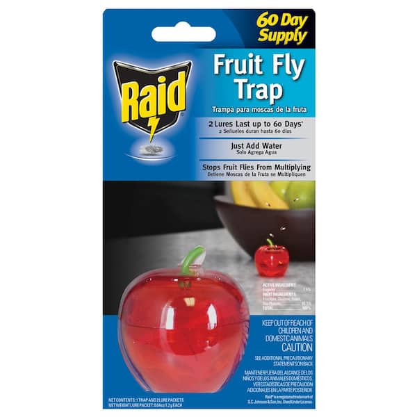 Indoor Fruit Fly Trap -catching Fly Trap,Fly Killer, Size: 15.5, Green