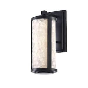 Salt Creek 16 in. Black Indoor/Outdoor Hardwired Wall LED Sconce with Clear Acrylic Shade and Quartz Crystalline Inserts