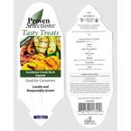 4.25 in. Grande Proven Selections Sundance Crook Neck Squash Live Plant Vegetable (Pack of 4)