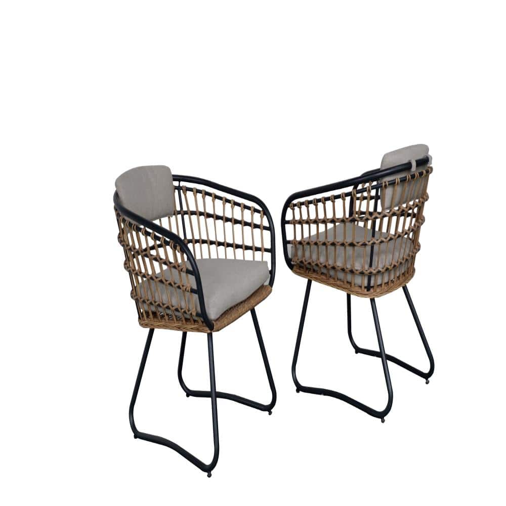 25.2 in. W x 31.1 in. H 2-Pack Rattan Patio Armchairs, Soft Cushioned Wicker Chairs for Dining Use price history on PriceWatchPro