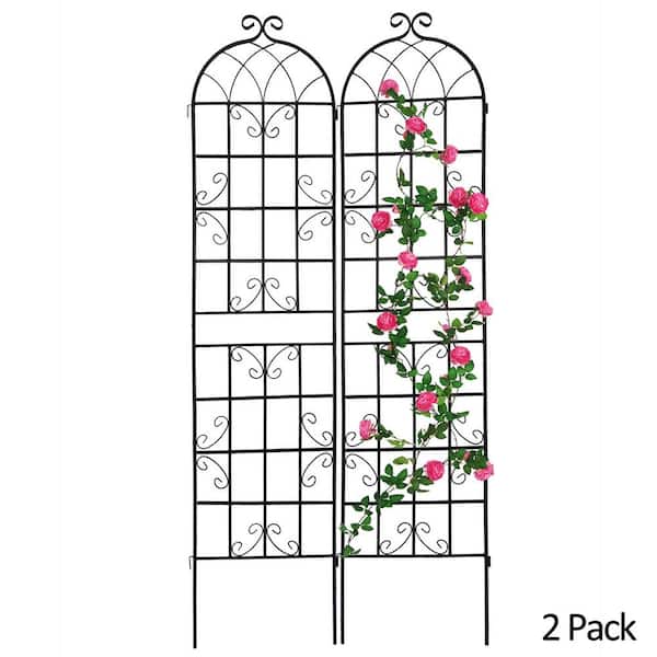 ToolCat 2-Pack 86.7 in. x 19.7 in. Metal Garden Trellis Outdoor Rustproof Flower Support for Climbing Plants, Black
