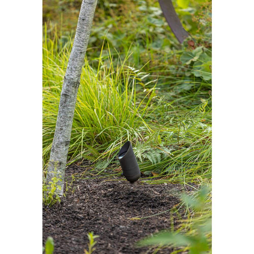 Matte Bronze Hardy Island 50W LED Accent Spot Light